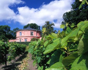 Rosendals trädgård på Djurgården