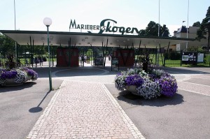 mariebergsskogen